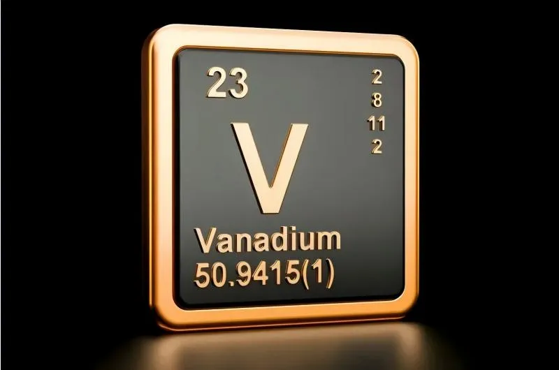 What Are The Symptoms Of Too Much Vanadium In The Body?